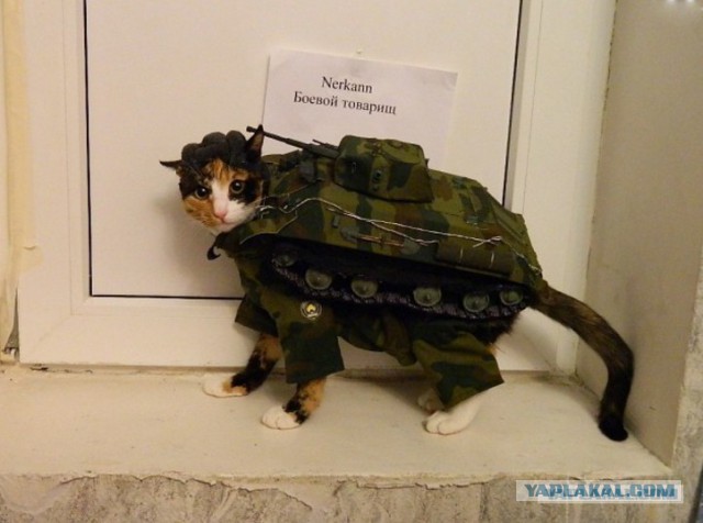 Wargaming 38