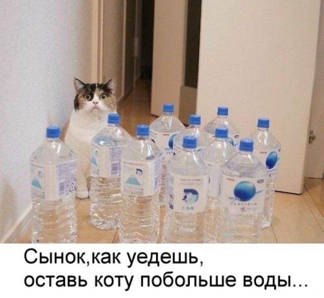 Юмор не для всех
