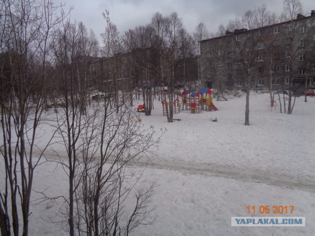 Голицыно, Подмосковье. 100-е февраля.
