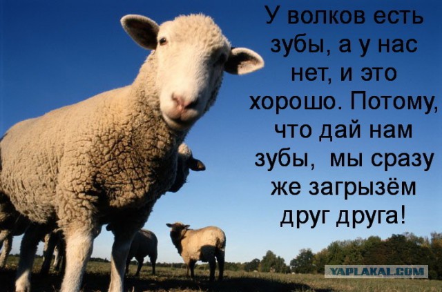 На Украине решили разрешить свободное ношение оружия