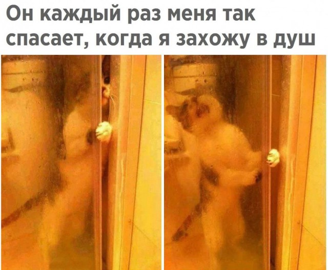Подборка интересных и веселых картинок