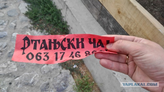 Македония: среди гор и котов