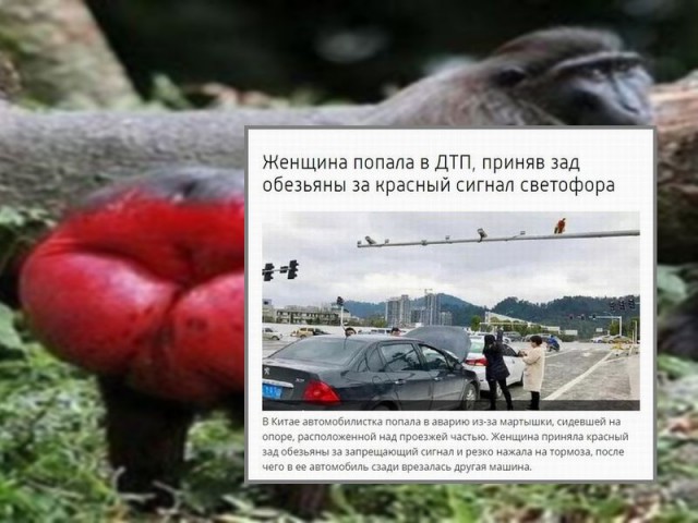 Праздник длиною в жизнь