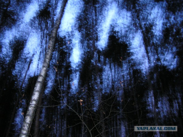 25 фотографий, с которыми сама камера сыграла злую шутку
