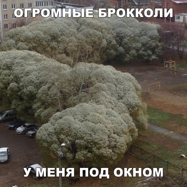 Нестандартный юмор