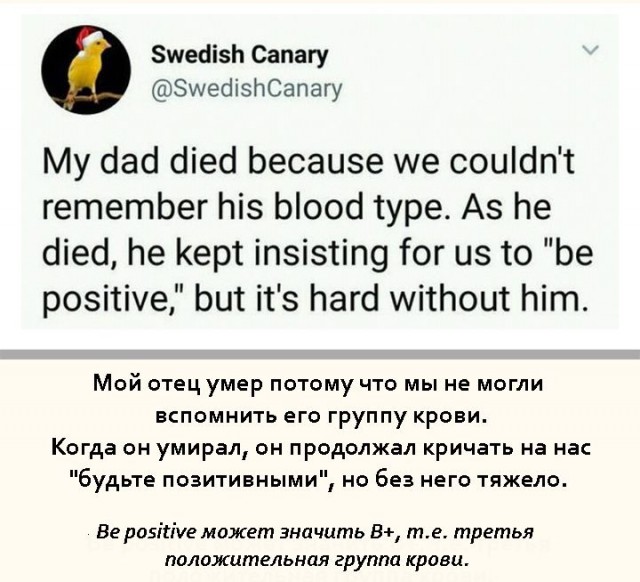 Человек разумный. Но это не точно