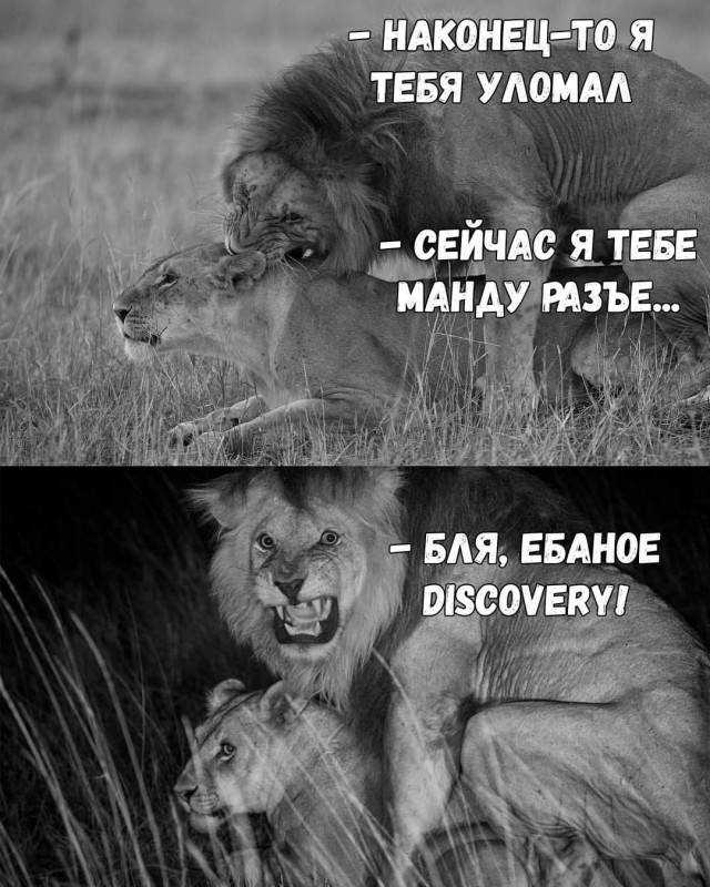 Пошлости пост