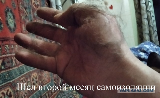 Чуток картинок не про вирус  3.0