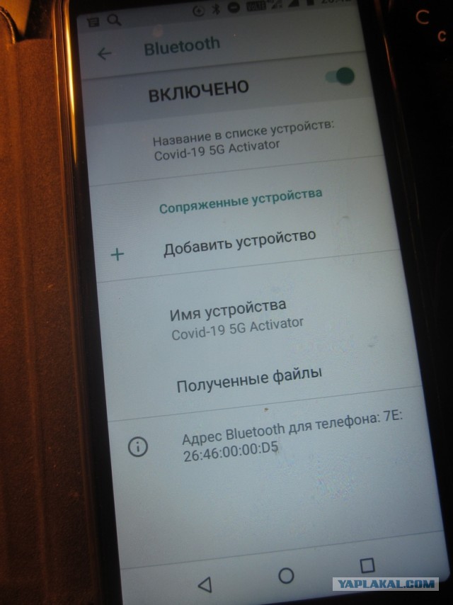 5G бунт в Ленинградской области