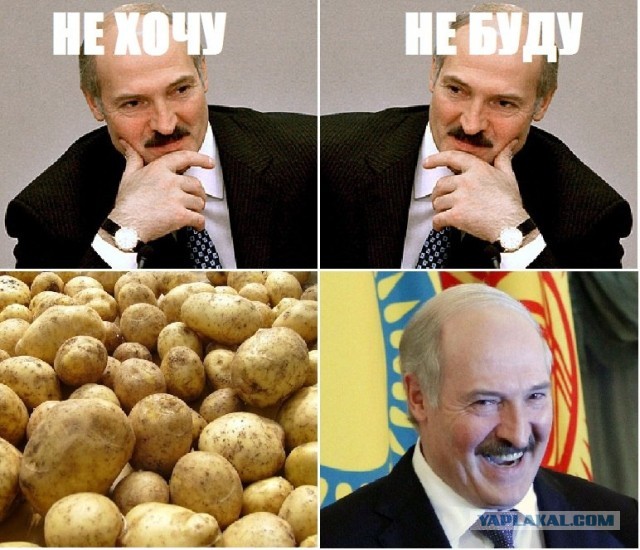 Гипноклубень