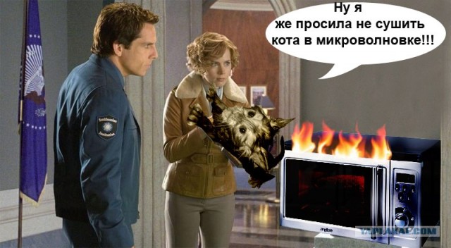 Битва фотожаберов (команда №1), Ночь в музее