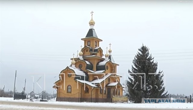 Главную площадь города власти украсили ворованной елью