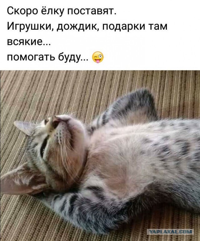 Миссия выполнена