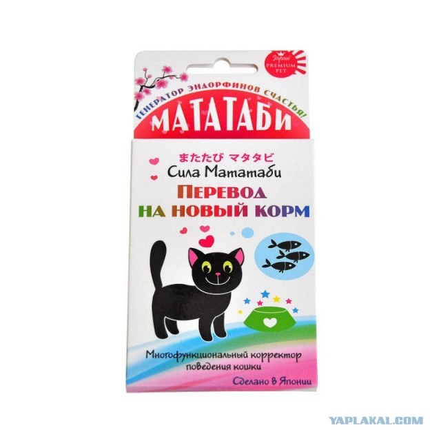 Жизнь домашнего приюта для котеек 331