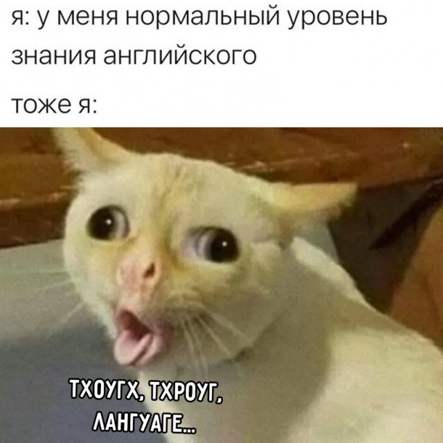 Весёлый полтишок 16.03