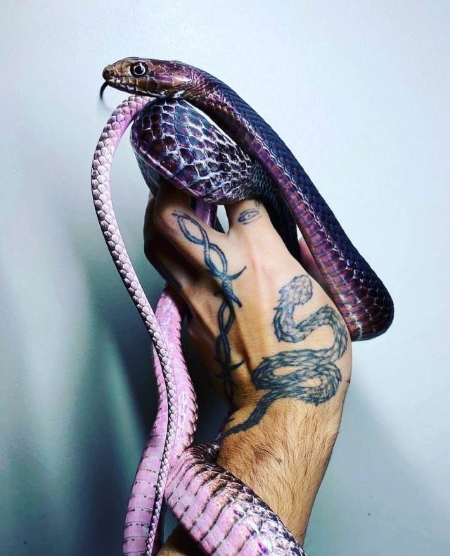 Crazy Art "Психоделика"