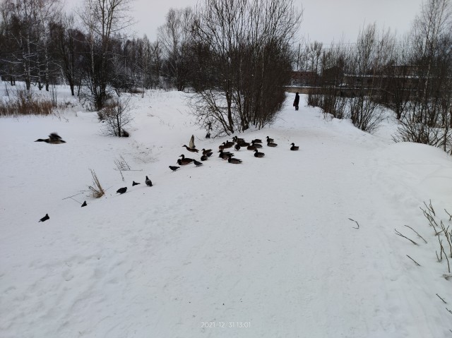 Первое января глазами непьющего человека