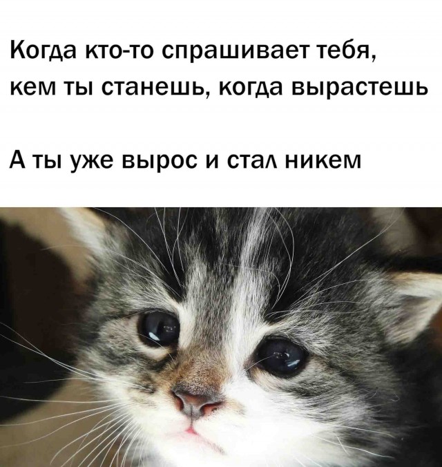 Всякой Хни вам в ленту, дорогие деграданты...