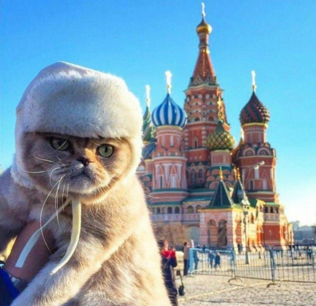 Картинки и мемы для настроения 27.01.2022
