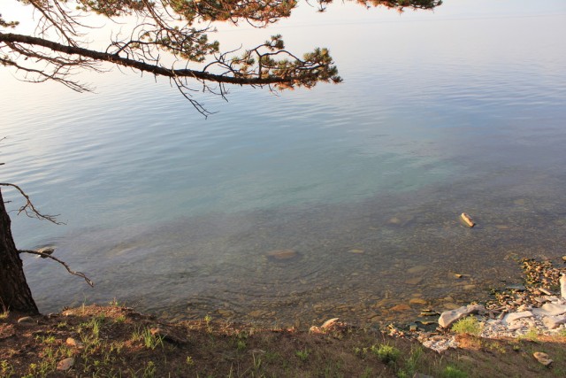 Байкал, 2011