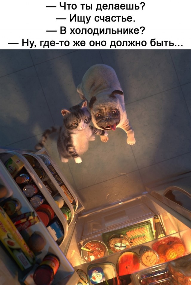 Чуток картинок 04.03.22