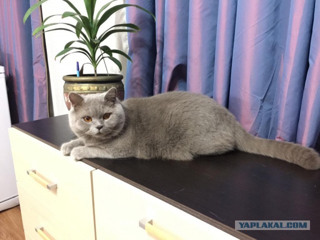 А что, уже вторник?