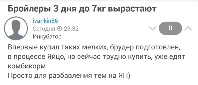 Бройлеры 3 дня (отроду)  до 7кг вырастают