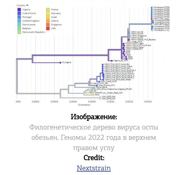 Пандемия. Коронавирус и съехавшие крыши. Россия и мир. Часть 35