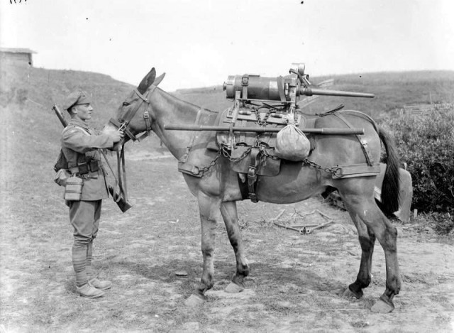 Электровелосипеды украинской армии