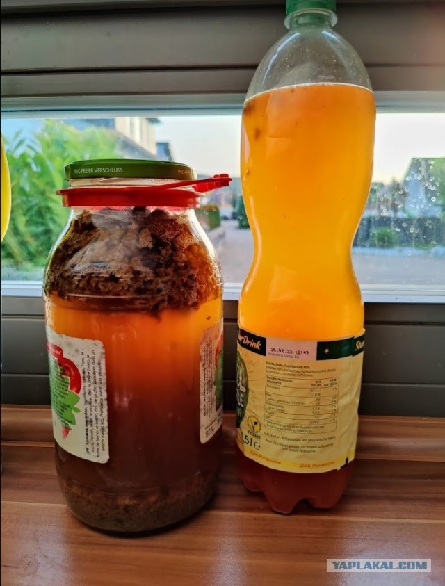 Квас домашний