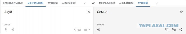 Так себе картинки 26.06.22