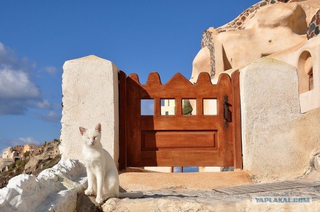 Любовь с первого взгляда