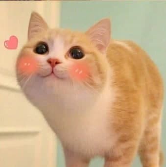 Прикольные и просто красивые картинки 05.09.2022