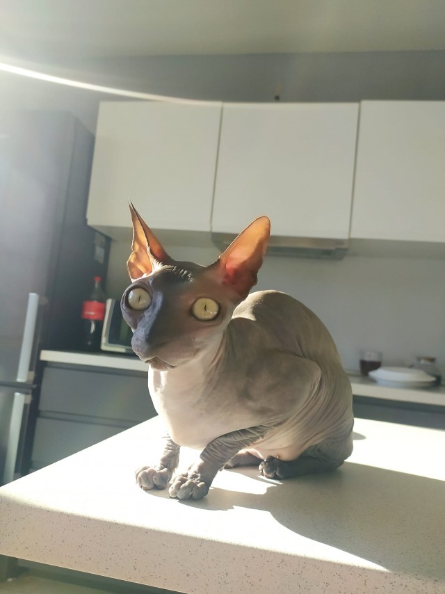 Маняня