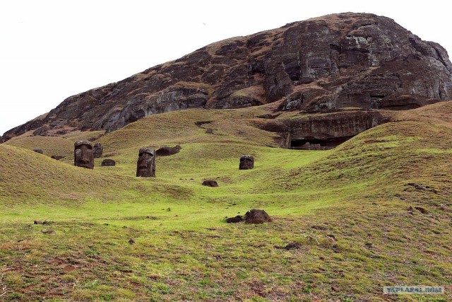 Южно-Американский дневник. остров Пасхи