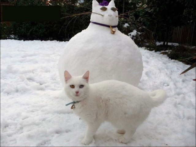 Первый снег!