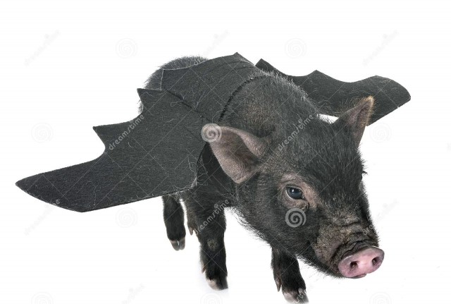 В Steam появился список русских нежелательных игр