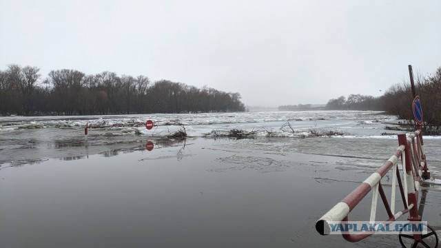 Этой ночью на Москву обрушился снегопад, которого не было более 80 лет