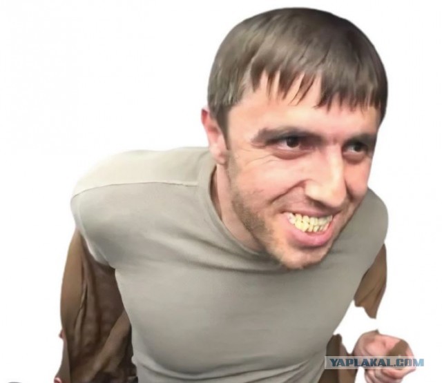 IQ жителей регионов России