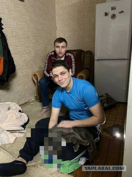 Тамбовским живодёрам грозит 5 лет. Одного отпустили с подпиской о не выезде.