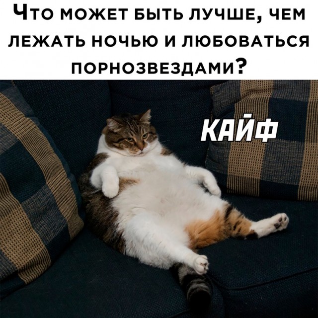 Весёлый полтишок 31.01.23