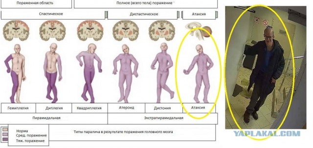 Пол года трудов уничтожено за 5 секунд
