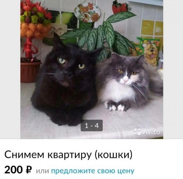 Немного картинок для настроения - 139