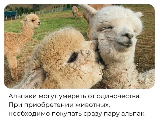 Немного картинок для настроения - 155