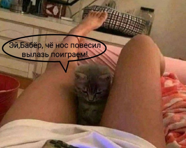 Юмор в картинках и без