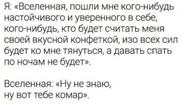 Весёлый полтишок 08.07.23