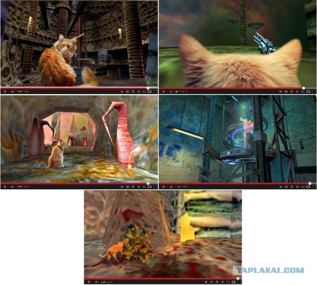 Freemans Days - эпизод первый