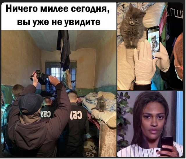 Скупка краденого из сети 08-08-2023