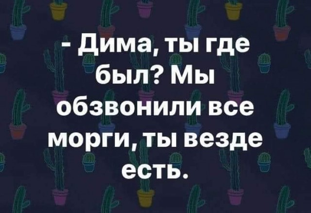 Весёлый полтишок 08.09.23
