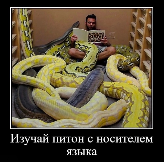 Так себе картинки 30.09.2023